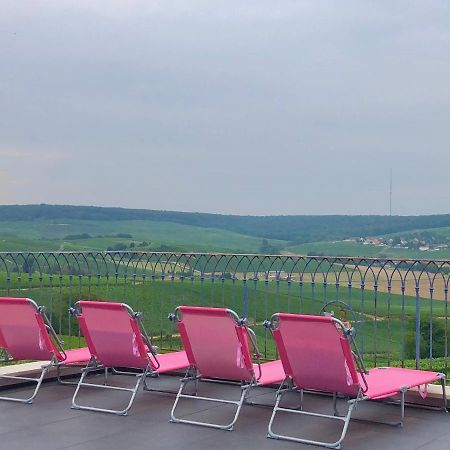 Floressens En Champagne Terrasse Privative Sur Le Vignoble Villa Fleury-la-Riviere Екстериор снимка