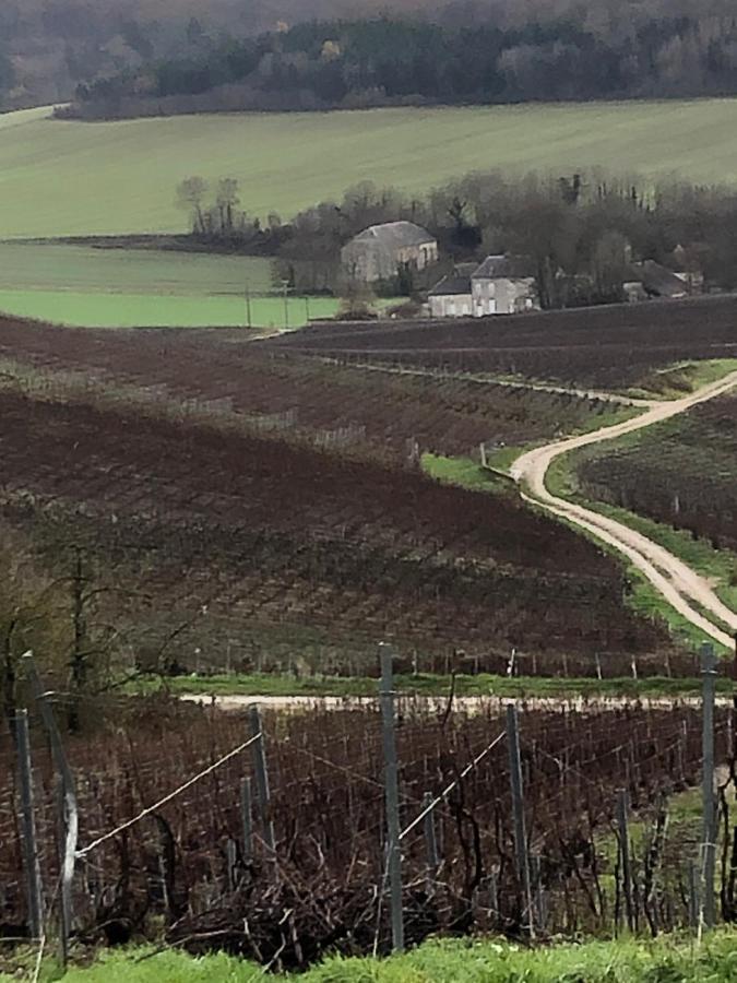 Floressens En Champagne Terrasse Privative Sur Le Vignoble Villa Fleury-la-Riviere Екстериор снимка