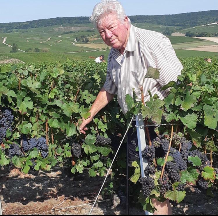 Floressens En Champagne Terrasse Privative Sur Le Vignoble Villa Fleury-la-Riviere Екстериор снимка
