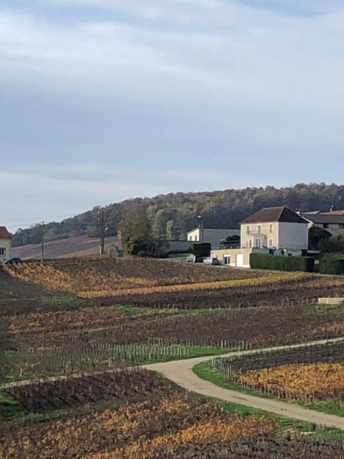 Floressens En Champagne Terrasse Privative Sur Le Vignoble Villa Fleury-la-Riviere Екстериор снимка