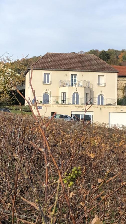 Floressens En Champagne Terrasse Privative Sur Le Vignoble Villa Fleury-la-Riviere Екстериор снимка