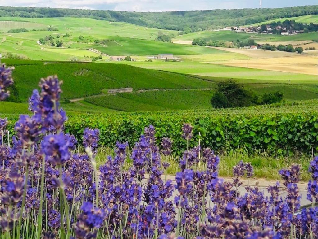 Floressens En Champagne Terrasse Privative Sur Le Vignoble Villa Fleury-la-Riviere Екстериор снимка