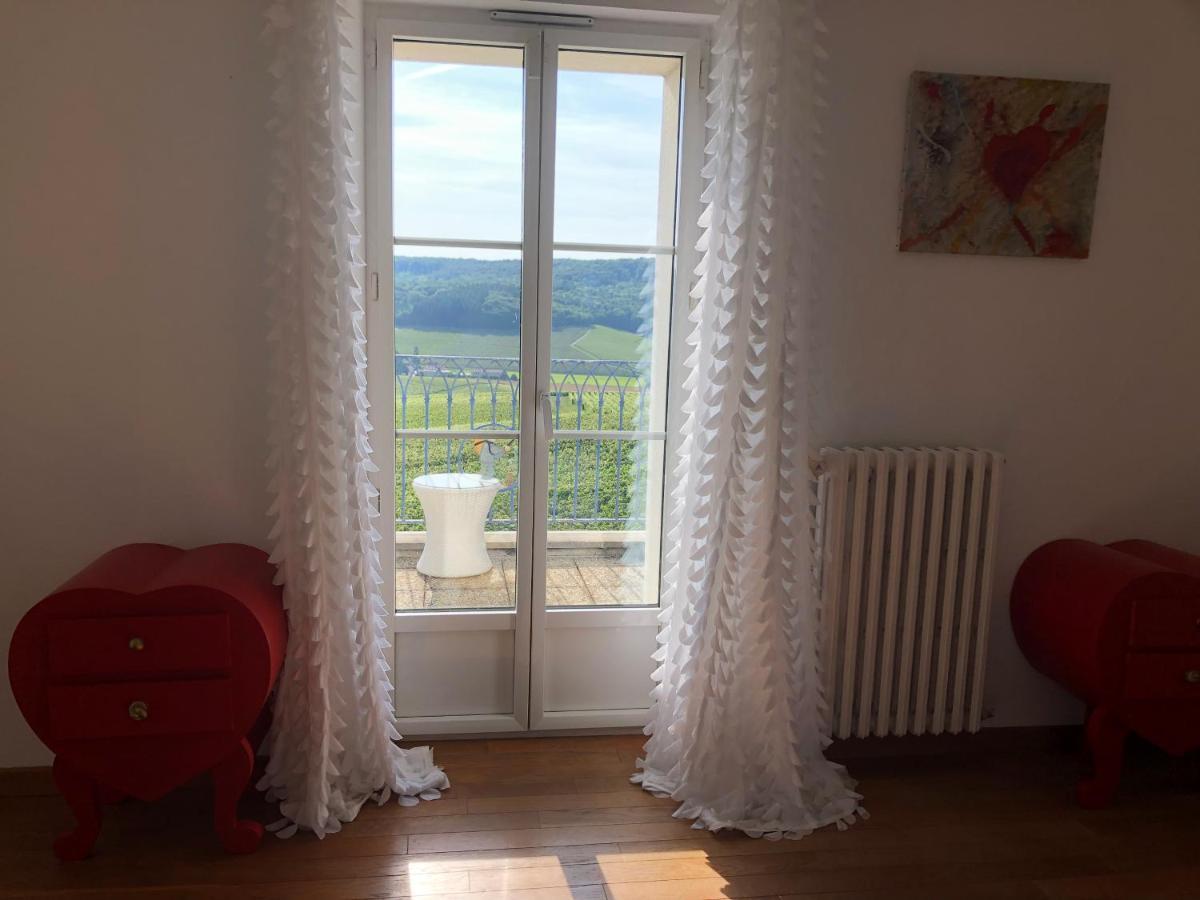 Floressens En Champagne Terrasse Privative Sur Le Vignoble Villa Fleury-la-Riviere Екстериор снимка