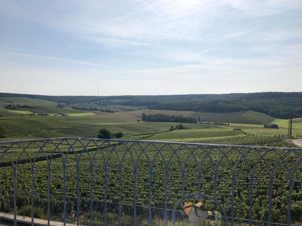 Floressens En Champagne Terrasse Privative Sur Le Vignoble Villa Fleury-la-Riviere Екстериор снимка