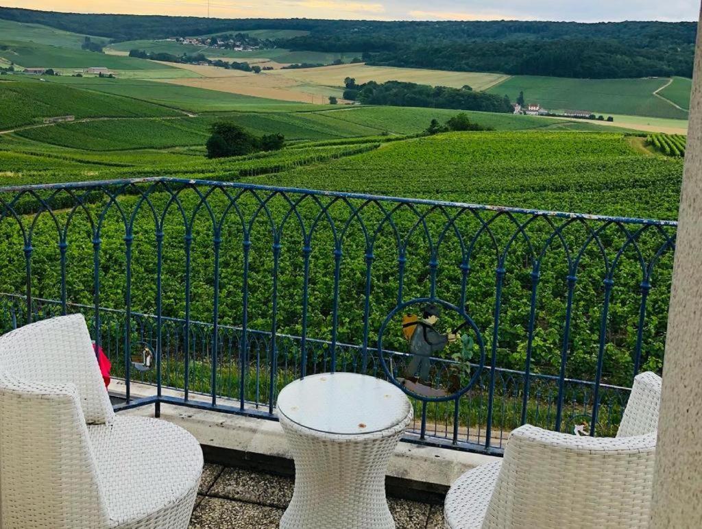 Floressens En Champagne Terrasse Privative Sur Le Vignoble Villa Fleury-la-Riviere Екстериор снимка