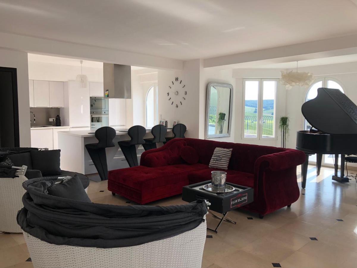 Floressens En Champagne Terrasse Privative Sur Le Vignoble Villa Fleury-la-Riviere Екстериор снимка