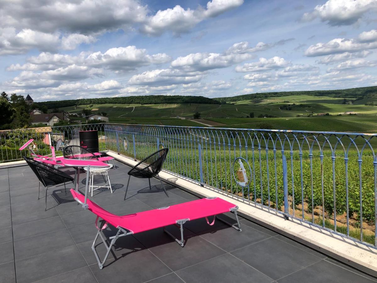 Floressens En Champagne Terrasse Privative Sur Le Vignoble Villa Fleury-la-Riviere Екстериор снимка