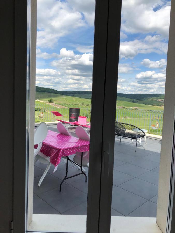 Floressens En Champagne Terrasse Privative Sur Le Vignoble Villa Fleury-la-Riviere Екстериор снимка