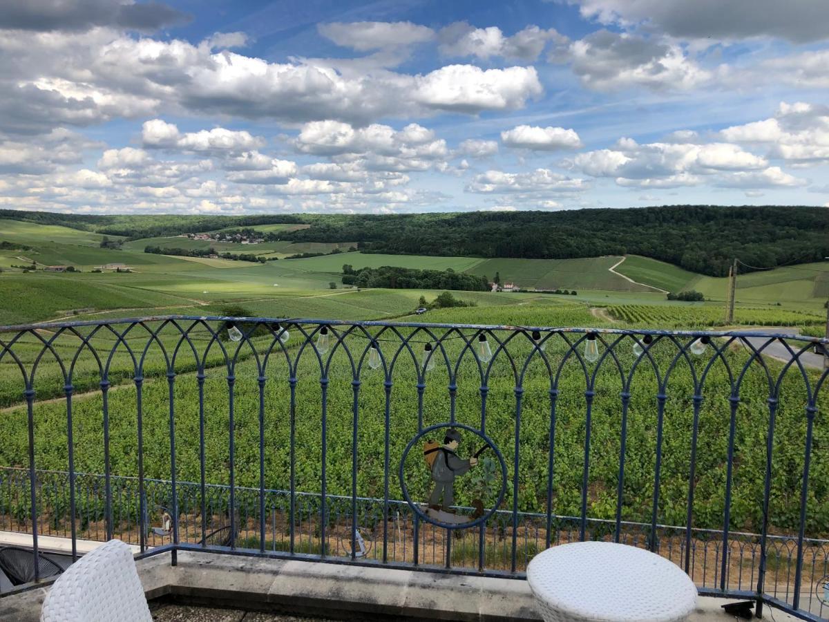 Floressens En Champagne Terrasse Privative Sur Le Vignoble Villa Fleury-la-Riviere Екстериор снимка