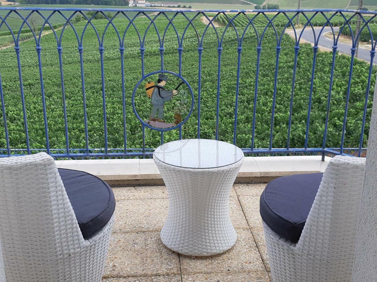 Floressens En Champagne Terrasse Privative Sur Le Vignoble Villa Fleury-la-Riviere Екстериор снимка